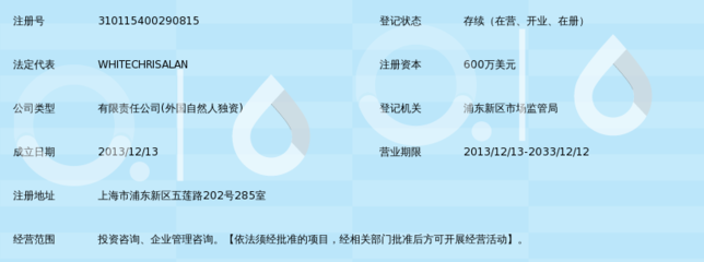 專業引領，價值共創 愛珂投資咨詢的服務理念與實踐