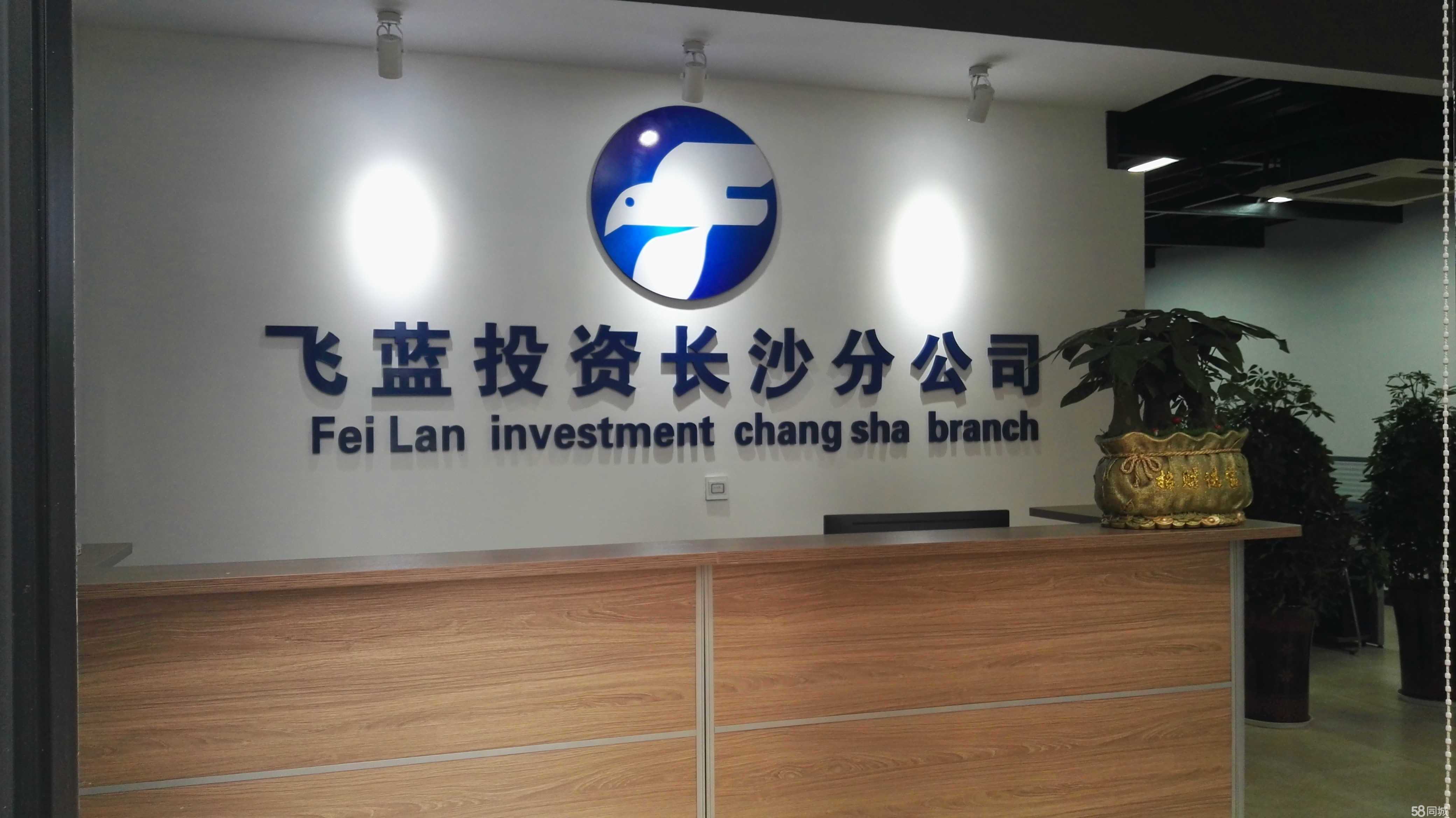 專業導航，明智投資——懷化飛藍投資咨詢的價值主張