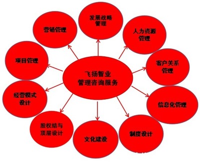 管理咨詢服務(wù)哪家強(qiáng)？專業(yè)信息咨詢機(jī)構(gòu)的選擇與考量