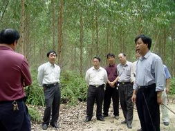中國開平網(wǎng)2008版 營林規(guī)劃與實(shí)踐探索